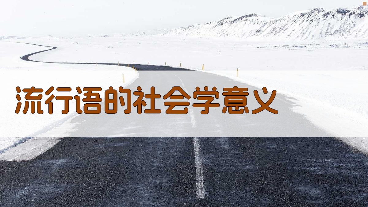 流行语的社会学意义 图1