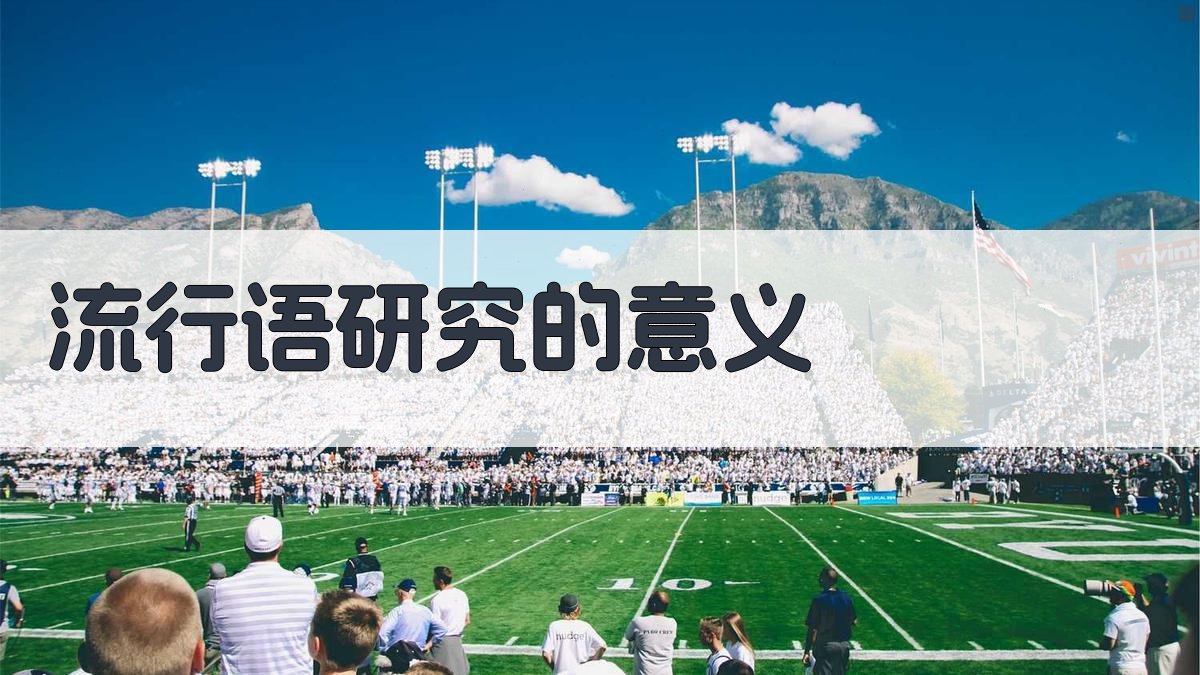 流行语研究的意义 图4