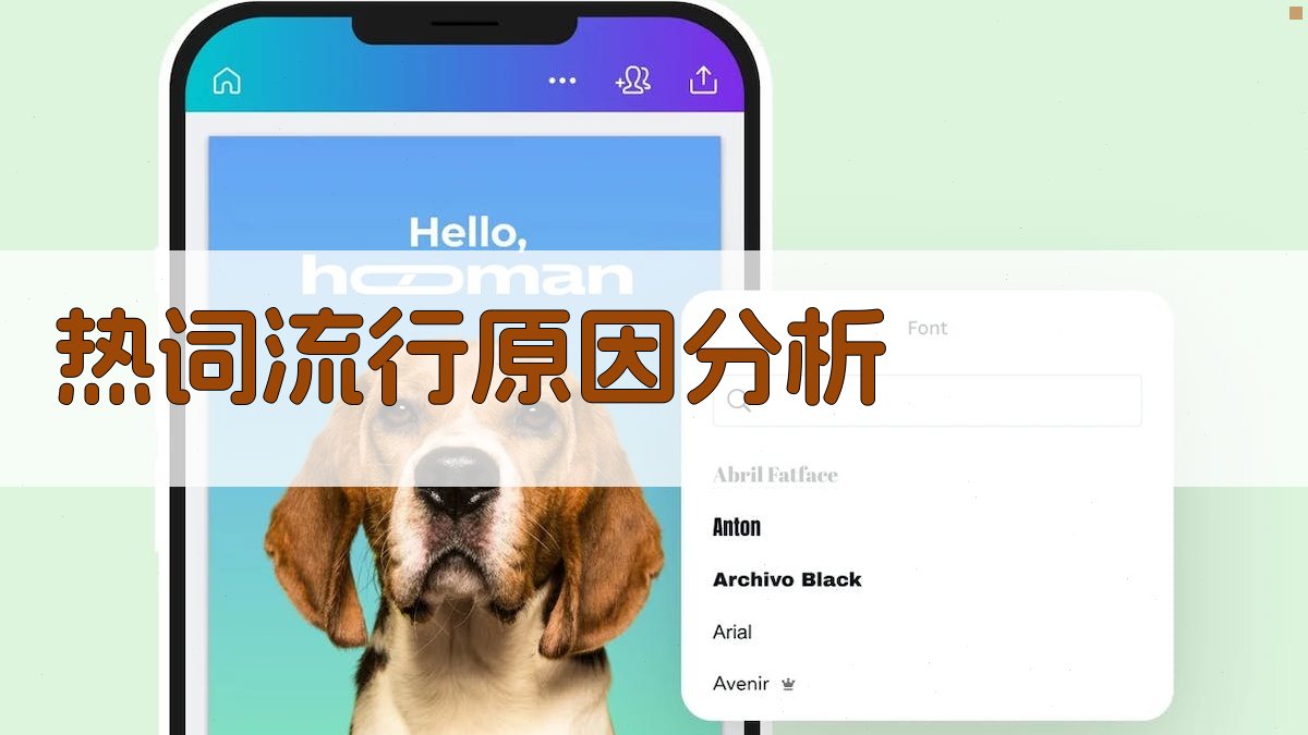 热词流行原因分析 图3