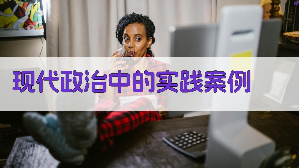 现代政治中的实践案例 图1