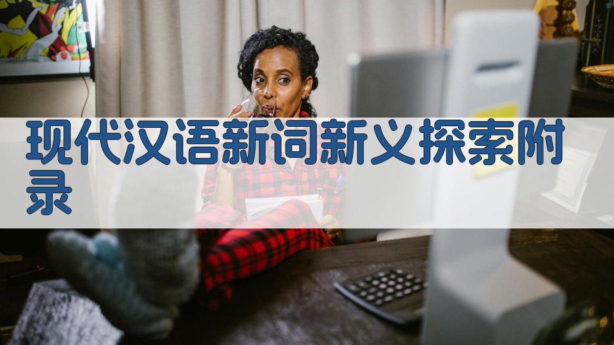 现代汉语新词新义探索 · 附录 图4