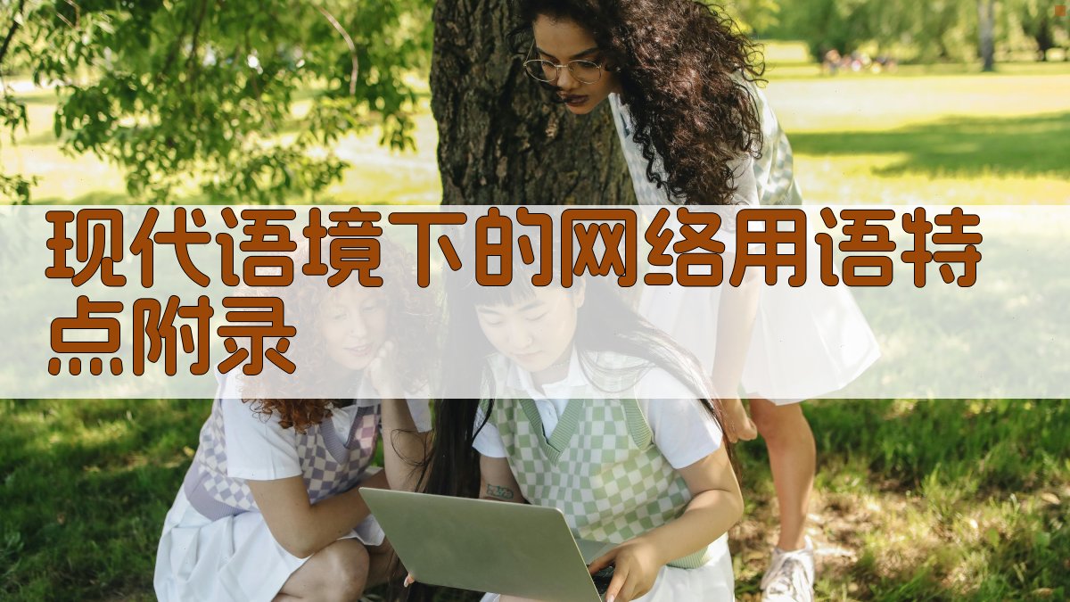 现代语境下的网络用语特点 · 附录 图5