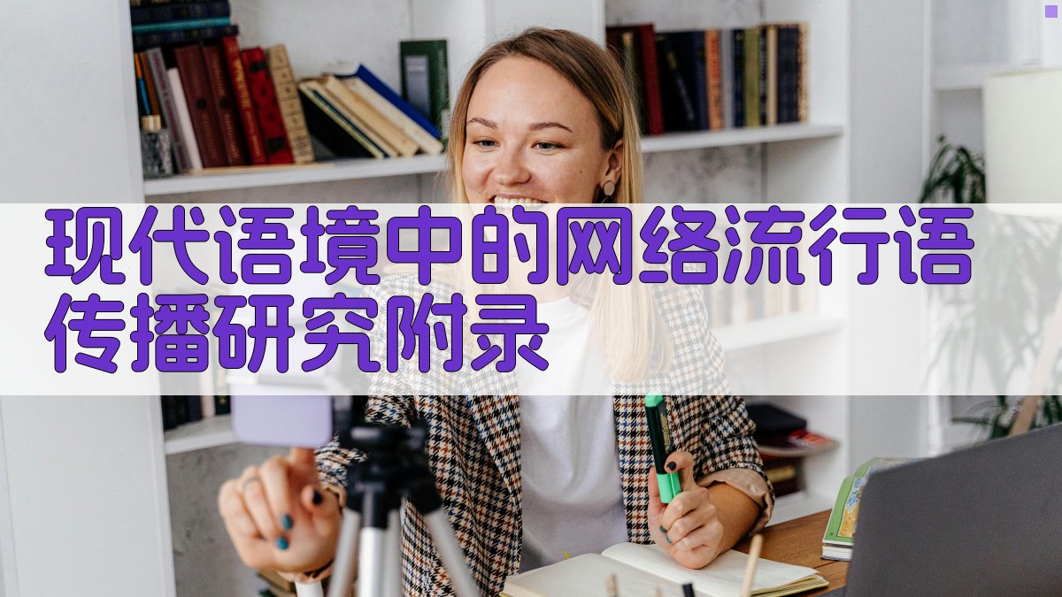 现代语境中的网络流行语传播研究 · 附录 图4