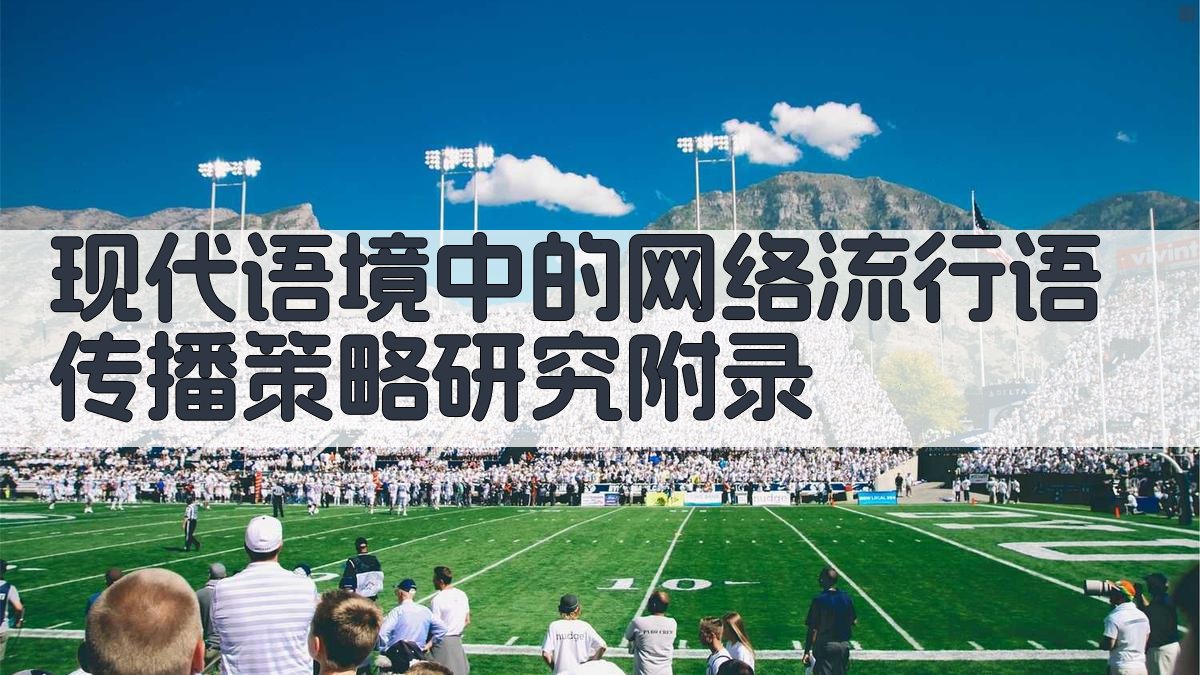 现代语境中的网络流行语传播策略研究 · 附录 图3