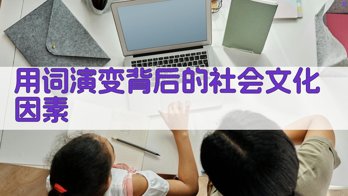 用词演变背后的社会文化因素 图1