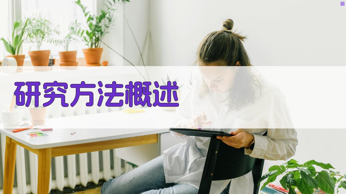 研究方法概述 图2