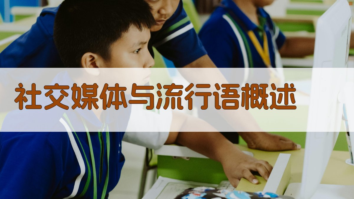 社交媒体与流行语概述 图1