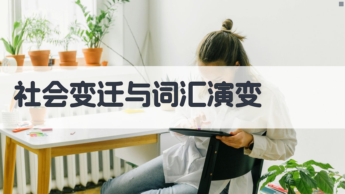 社会变迁与词汇演变 图3