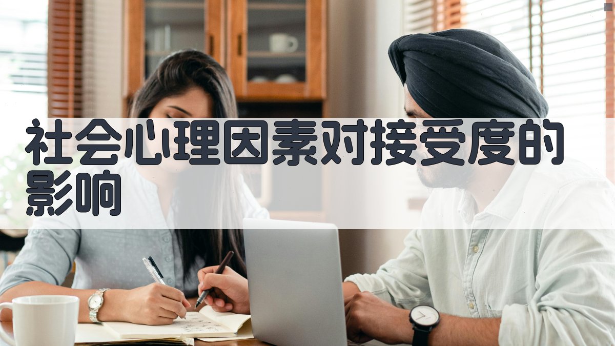 社会心理因素对接受度的影响 图1