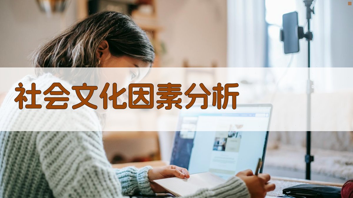 社会文化因素分析 图3