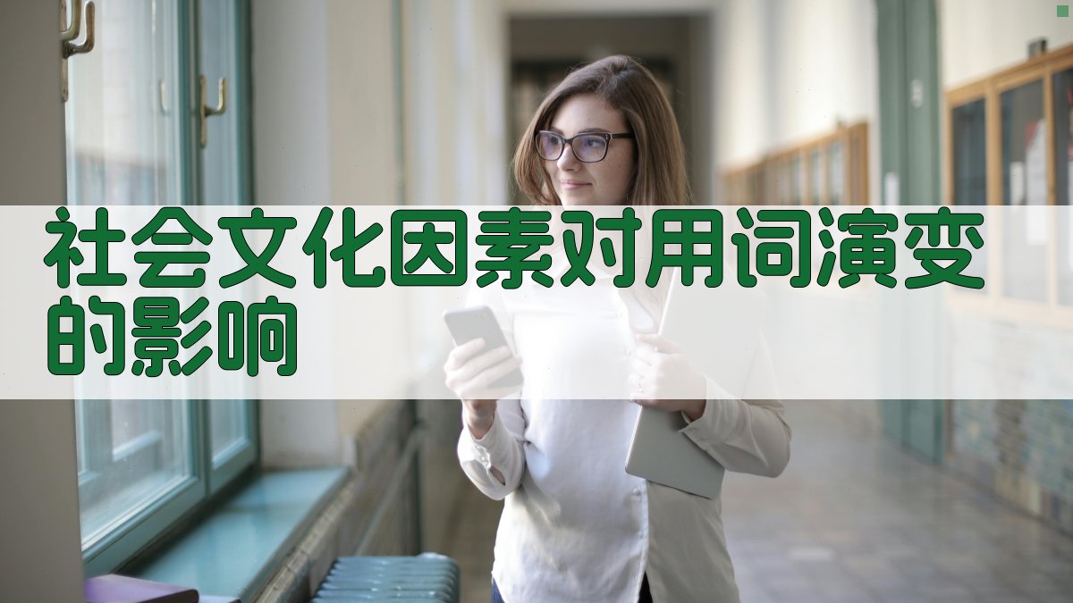 社会文化因素对用词演变的影响 图3