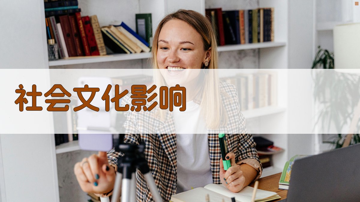 社会文化影响 图3