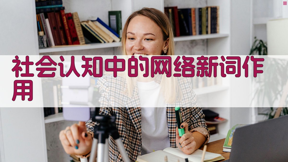 社会认知中的网络新词作用 图3
