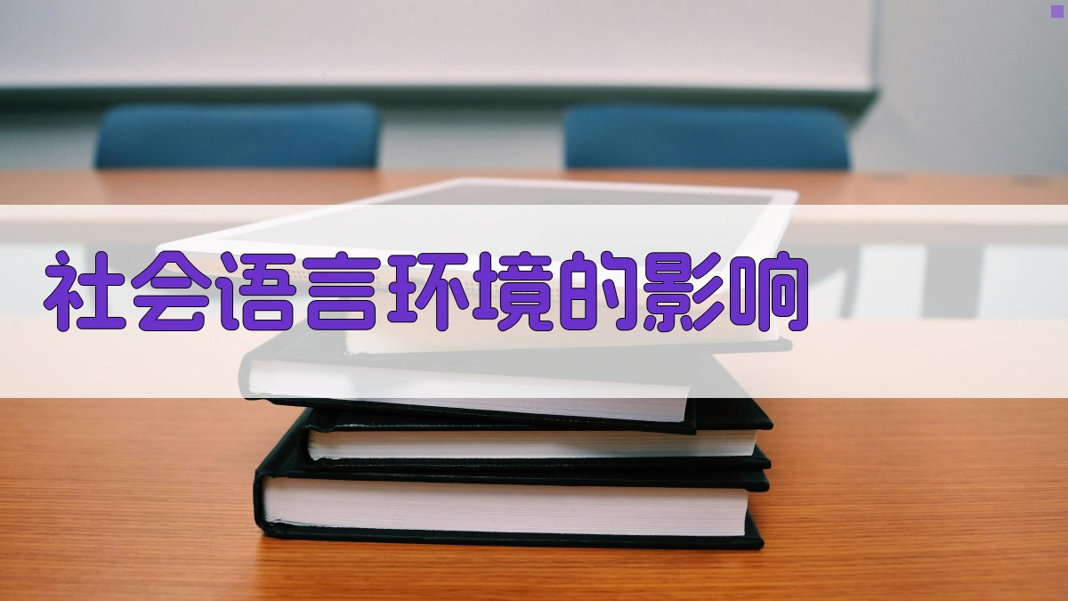 社会语言环境的影响 图3