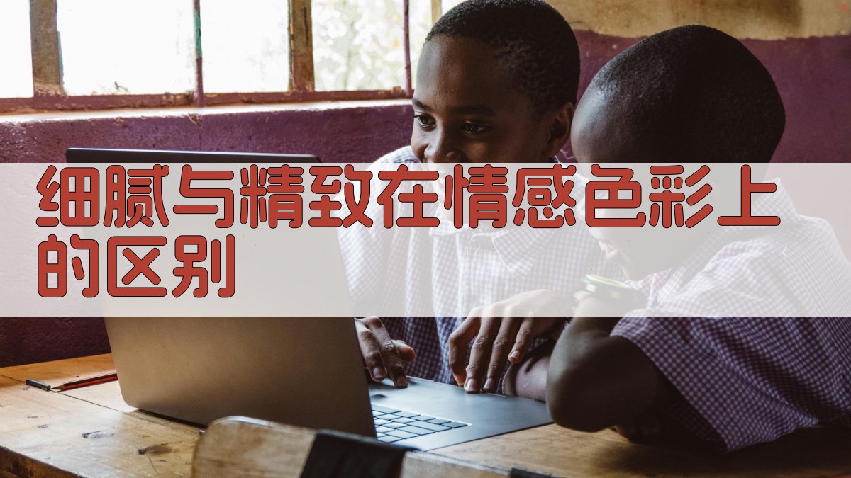 细腻与精致在情感色彩上的区别 图2