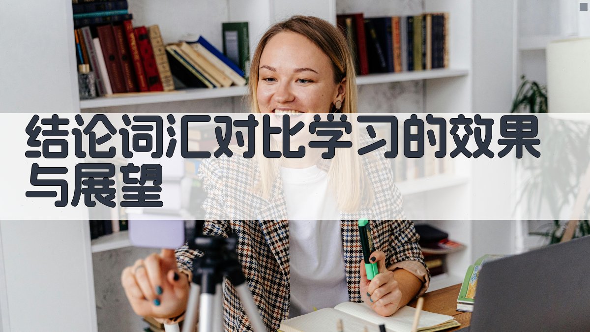 结论词汇对比学习的效果与展望 图4