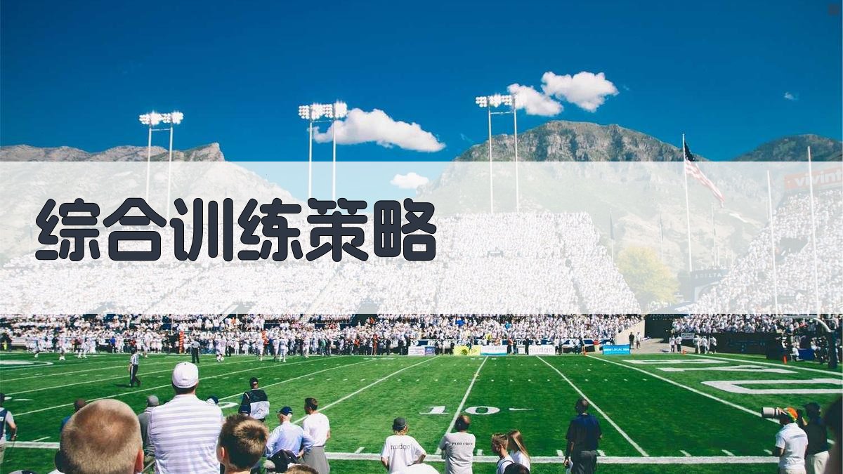 综合训练策略 图5