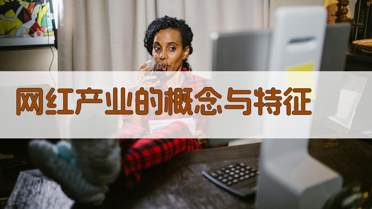 网红产业的概念与特征 图2