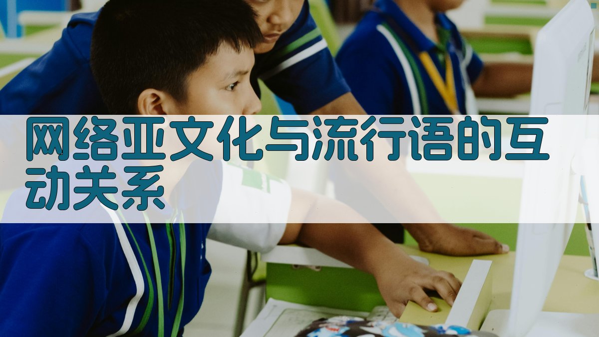 网络亚文化与流行语的互动关系 图2