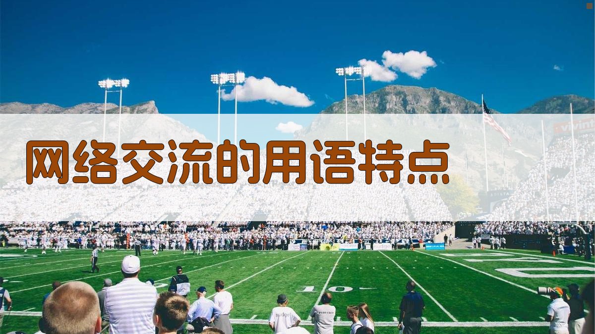 网络交流的用语特点 图2