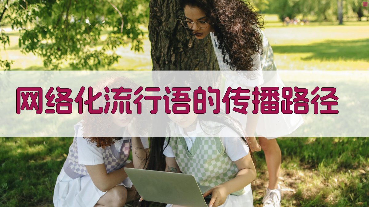 网络化流行语的传播路径 图2