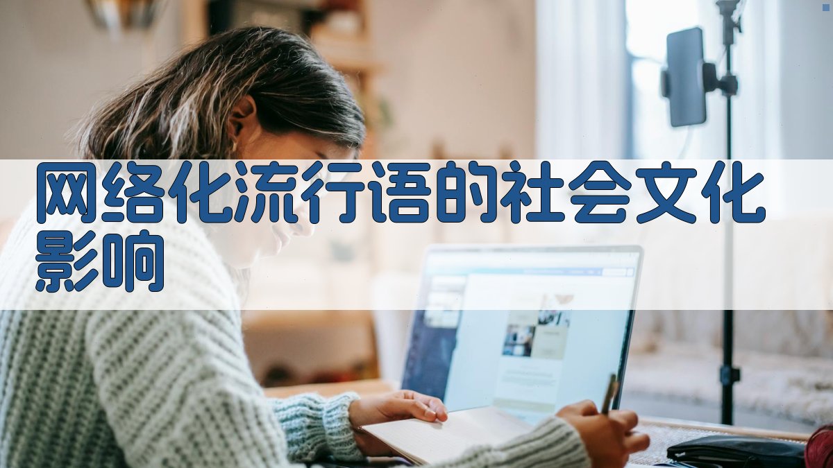 网络化流行语的社会文化影响 图4