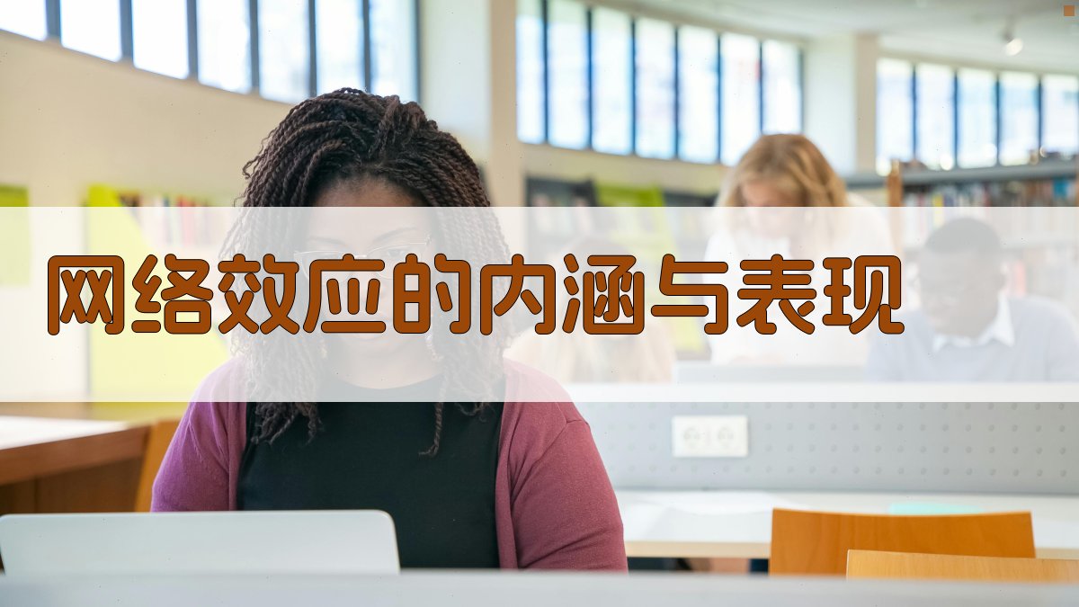 网络效应的内涵与表现 图1