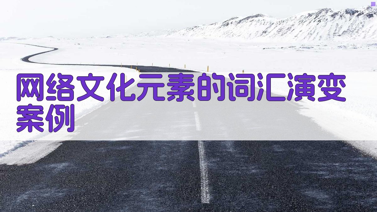 网络文化元素的词汇演变案例 图3