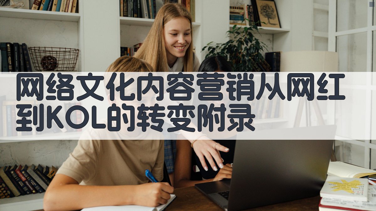 网络文化内容营销从“网红”到“KOL”的转变 · 附录 图2