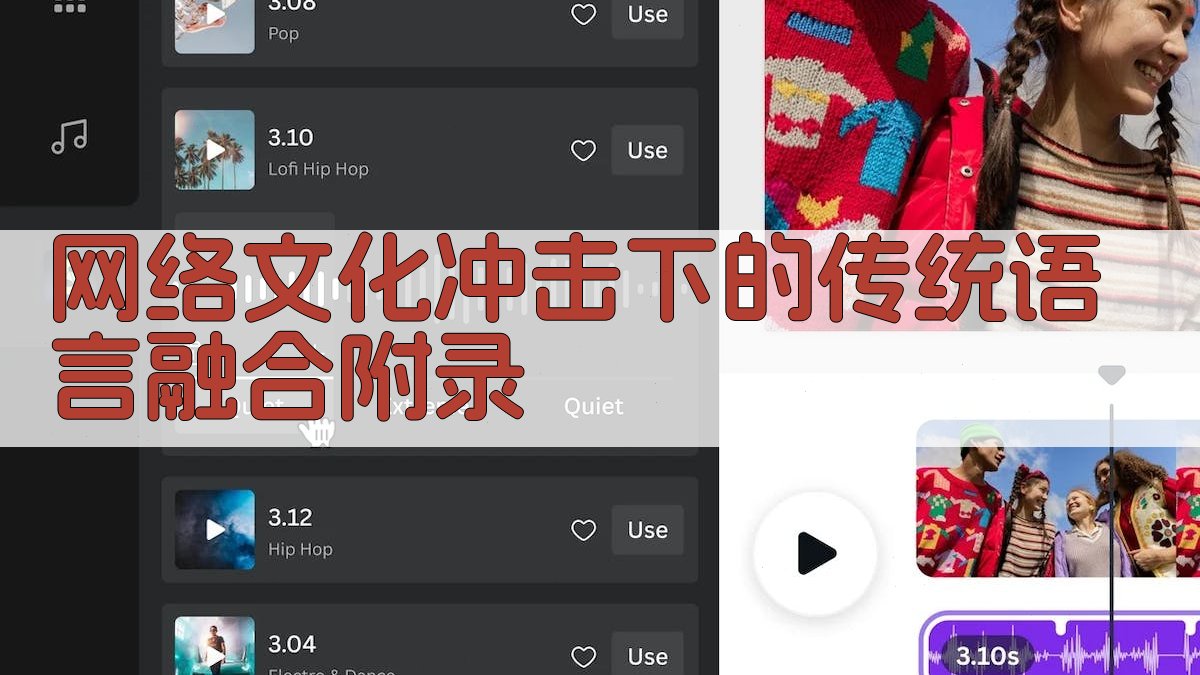 网络文化冲击下的传统语言融合 · 附录 图4