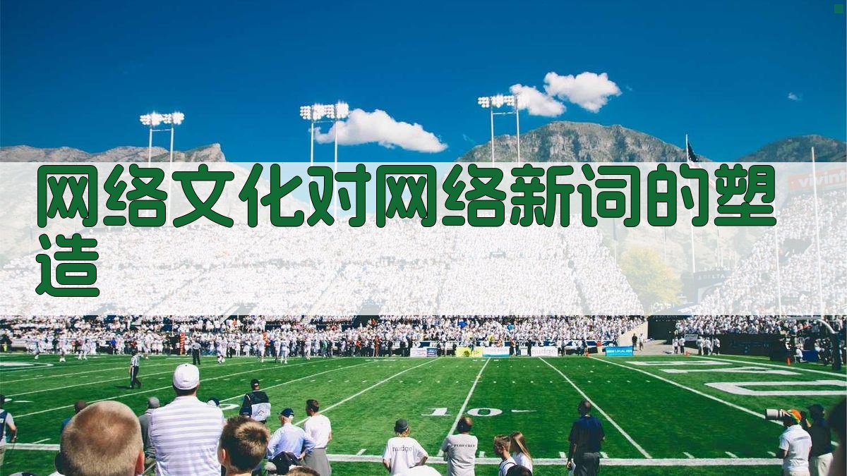 网络文化对网络新词的塑造 图4