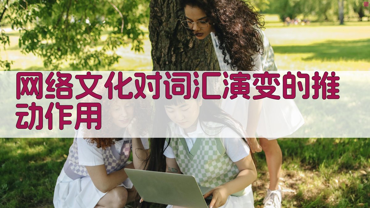 网络文化对词汇演变的推动作用 图2