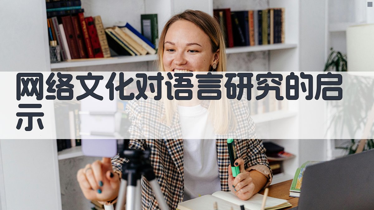 网络文化对语言研究的启示 图4