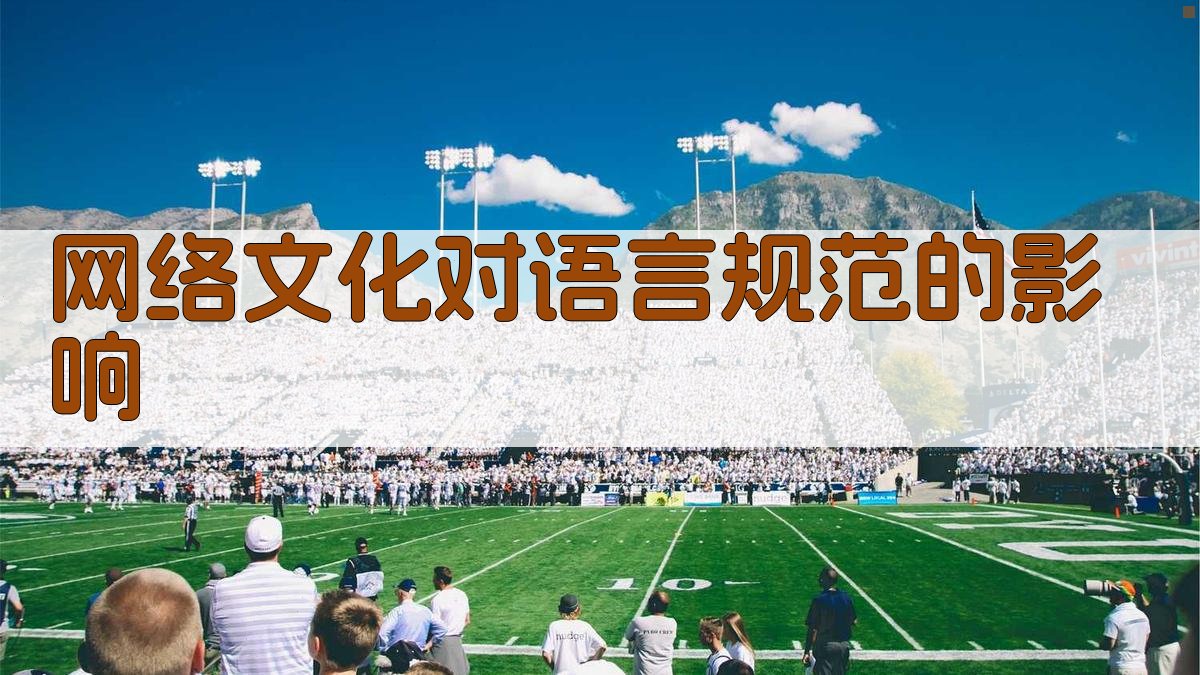 网络文化对语言规范的影响 图4