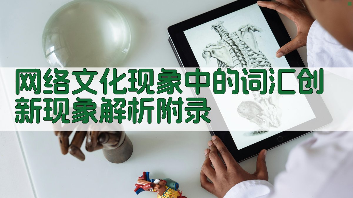 网络文化现象中的词汇创新现象解析 · 附录 图3