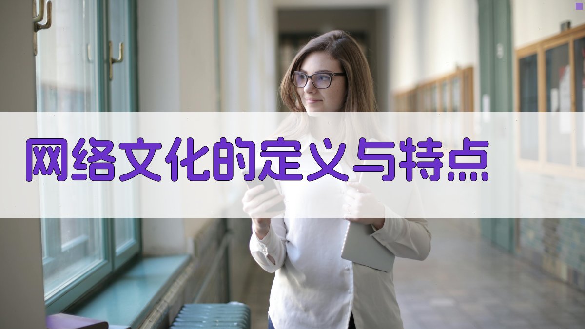 网络文化的定义与特点 图1