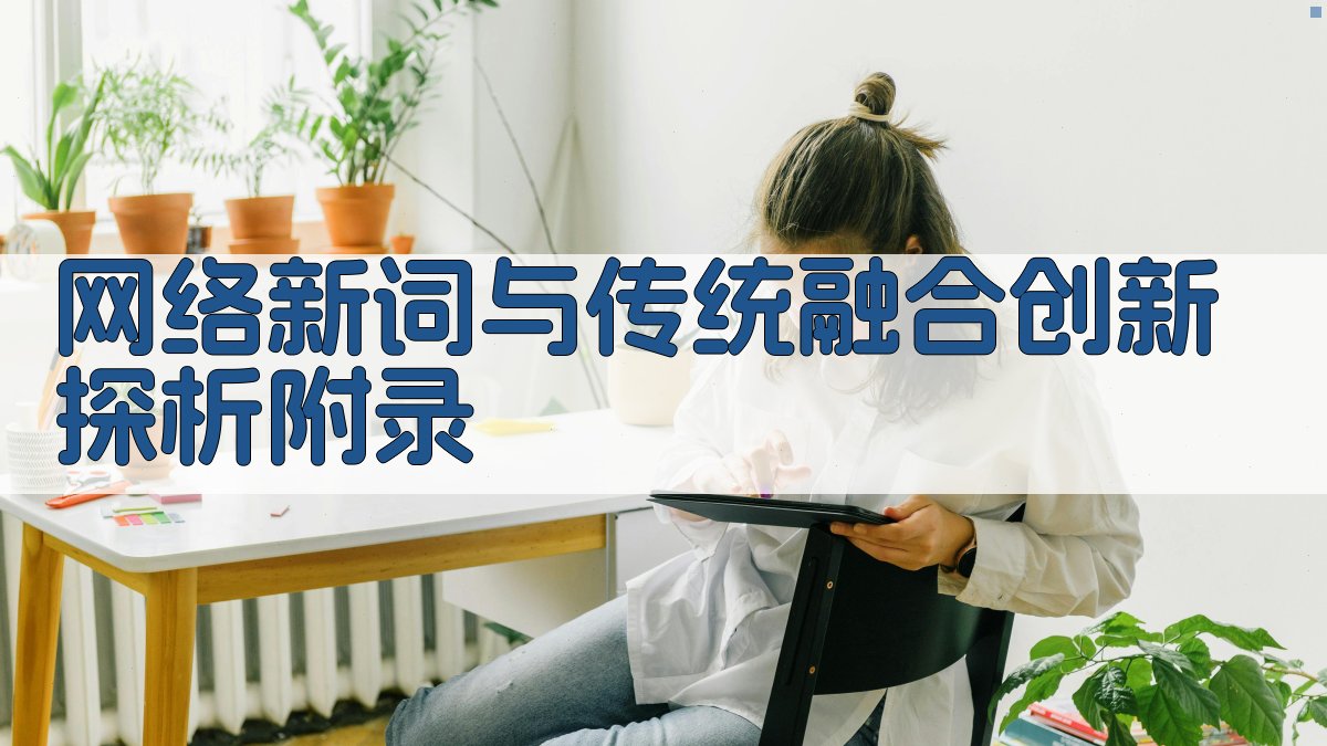 网络新词与传统融合创新探析 · 附录 图2