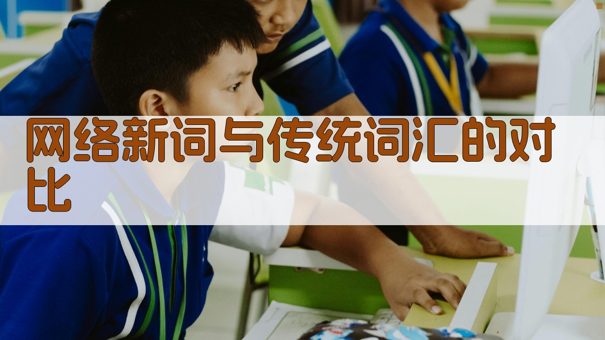 网络新词与传统词汇的对比 图3