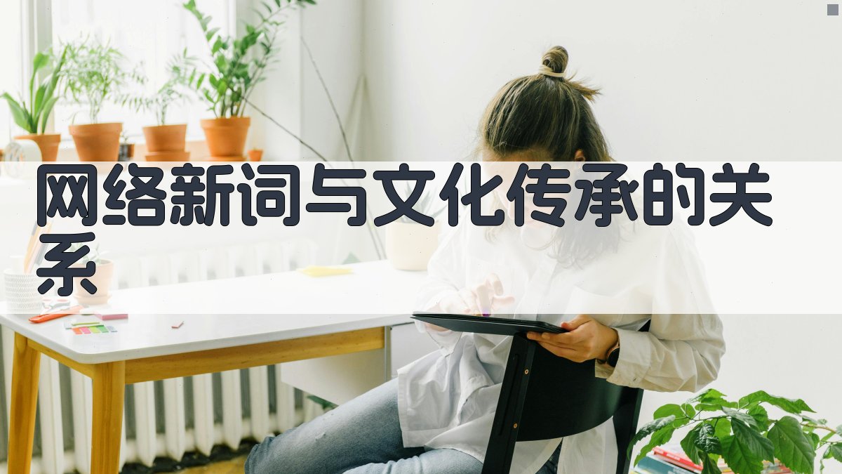 网络新词与文化传承的关系 图1