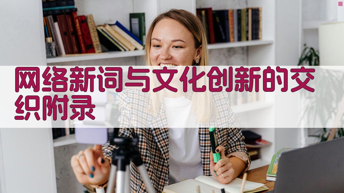 网络新词与文化创新的交织 · 附录 图5