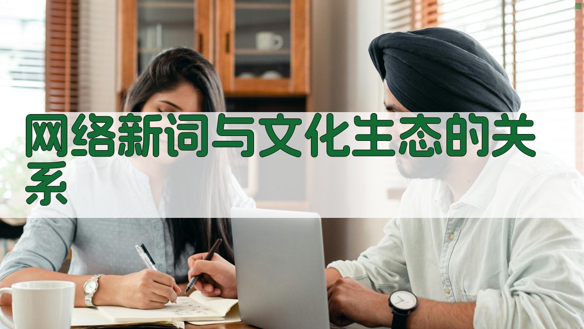 网络新词与文化生态的关系 图3