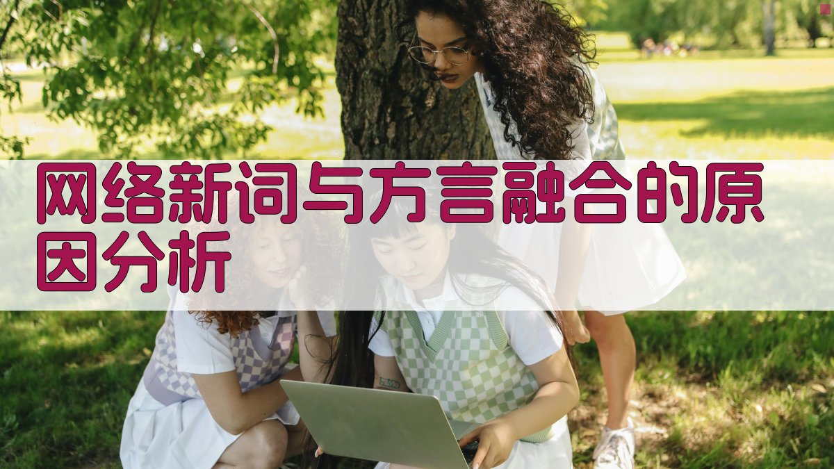 网络新词与方言融合的原因分析 图3