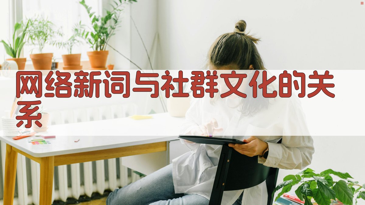 网络新词与社群文化的关系 图3