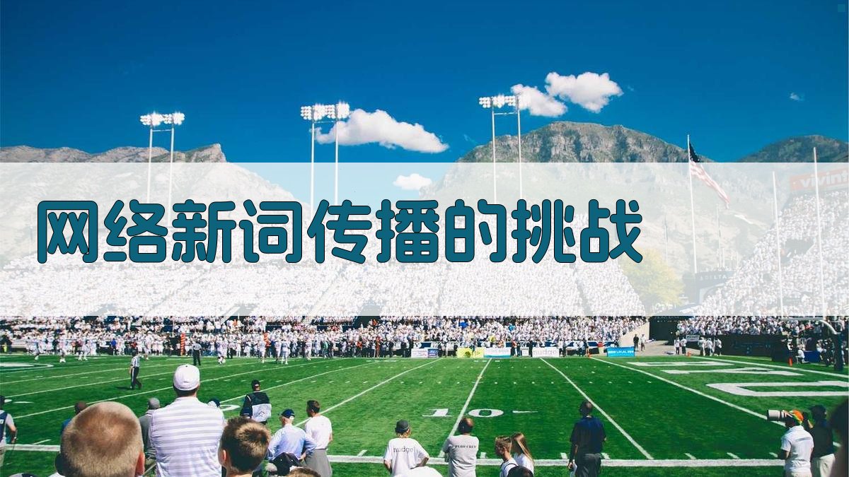 网络新词传播的挑战 图2