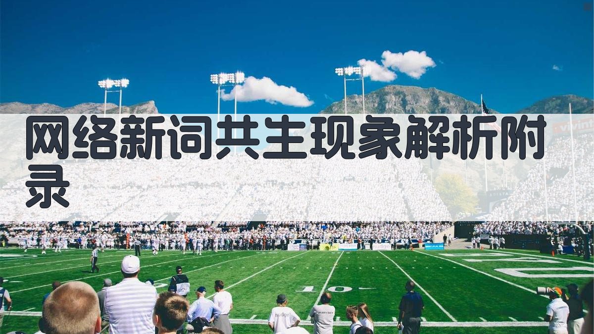 网络新词共生现象解析 · 附录 图2