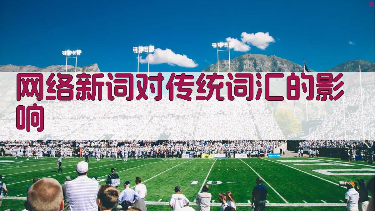 网络新词对传统词汇的影响 图1