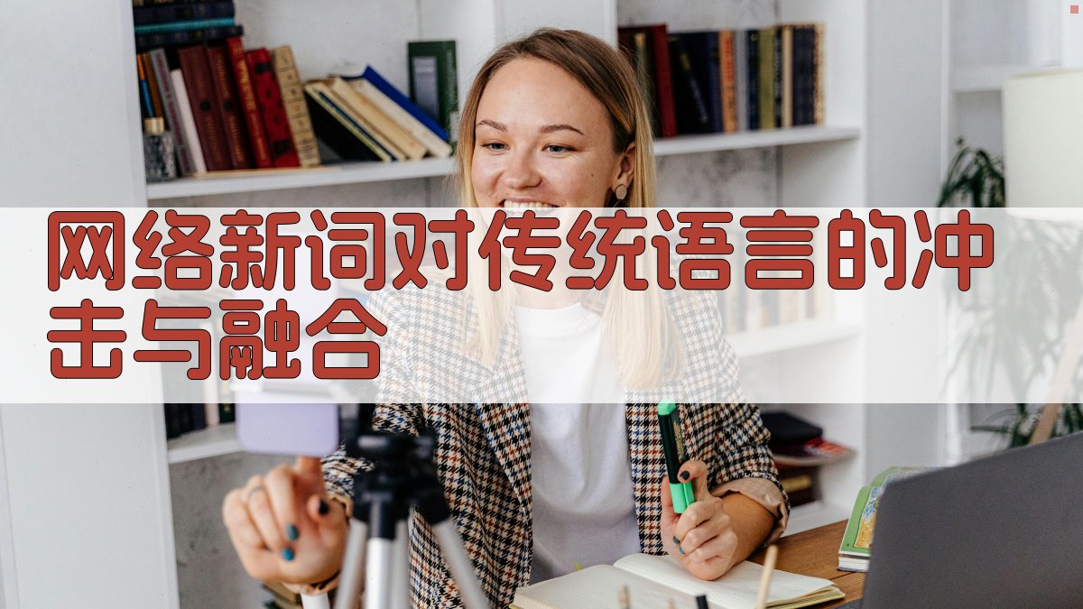 网络新词对传统语言的冲击与融合 图3