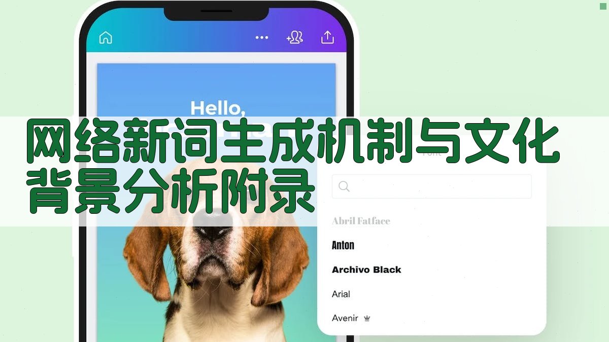 网络新词生成机制与文化背景分析 · 附录 图4