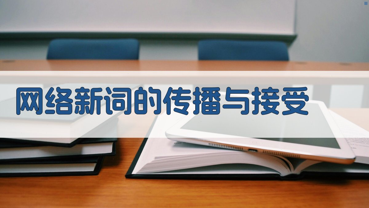 网络新词的传播与接受 图3