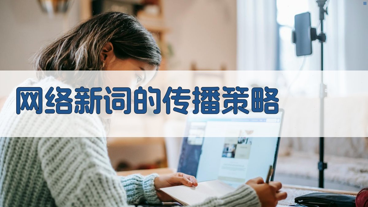 网络新词的传播策略 图1